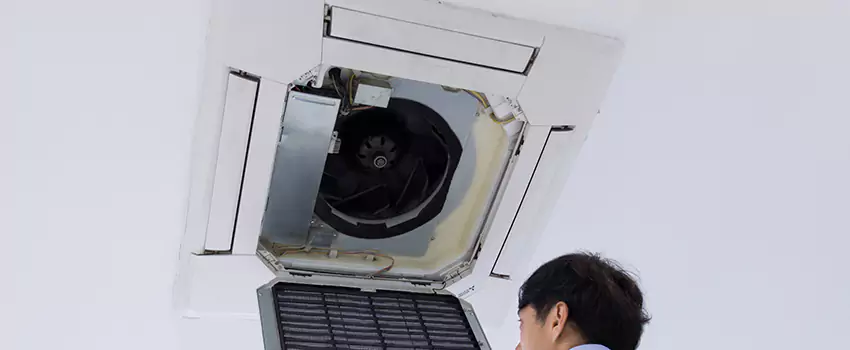 Benefits of Professional Air Duct Cleaning in Pinellas Park, Florida