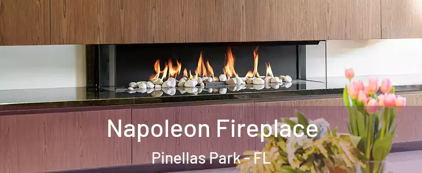  Napoleon Fireplace Pinellas Park - FL