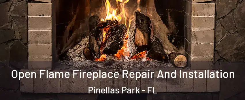  Open Flame Fireplace Repair And Installation Pinellas Park - FL