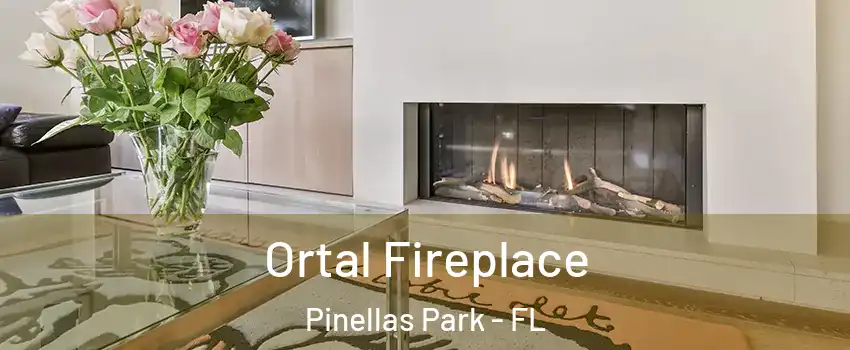 Ortal Fireplace Pinellas Park - FL