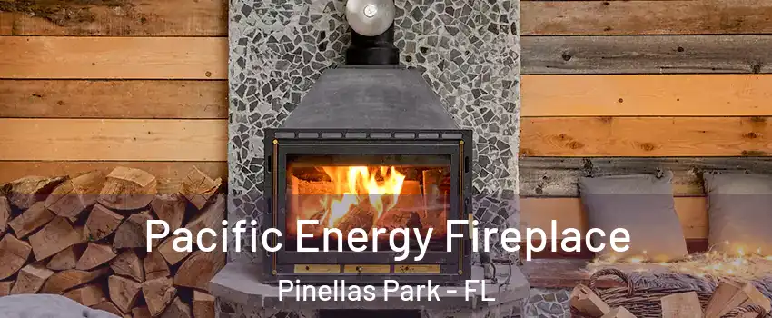  Pacific Energy Fireplace Pinellas Park - FL