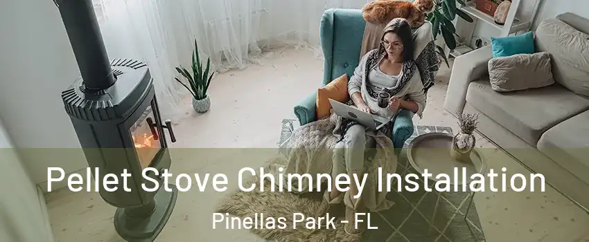  Pellet Stove Chimney Installation Pinellas Park - FL