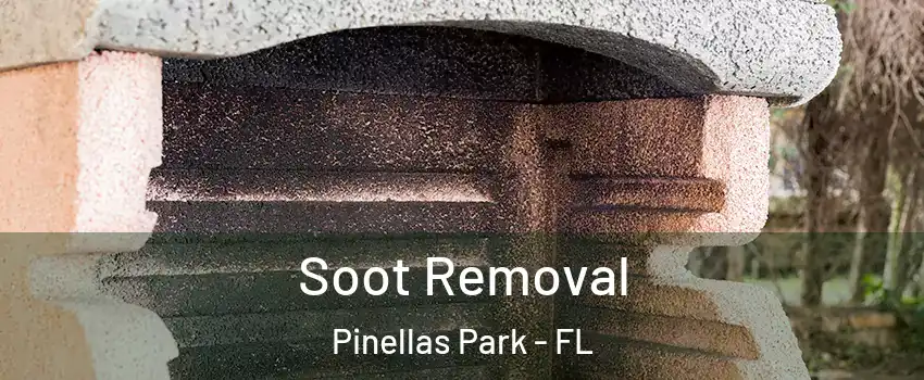  Soot Removal Pinellas Park - FL