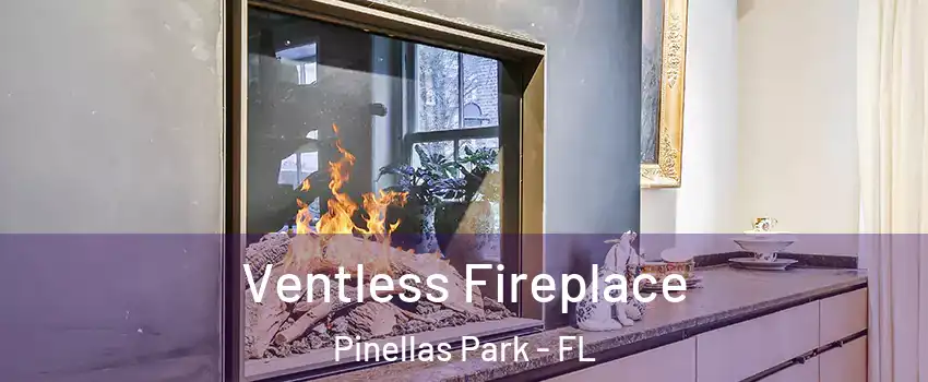  Ventless Fireplace Pinellas Park - FL