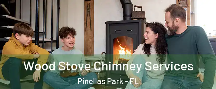  Wood Stove Chimney Services Pinellas Park - FL