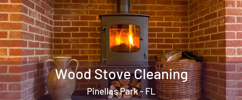  Wood Stove Cleaning Pinellas Park - FL